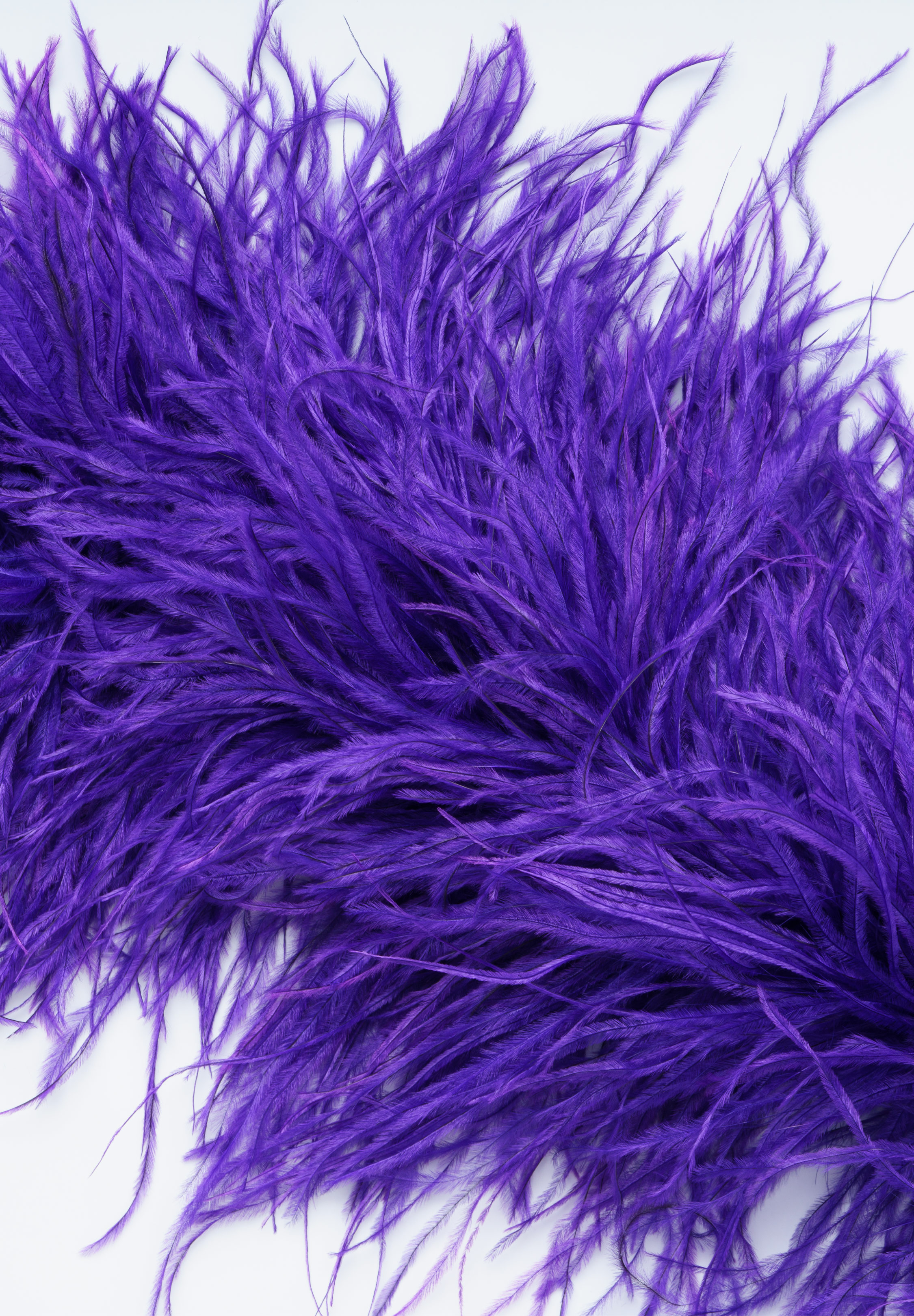 Purple_Rain