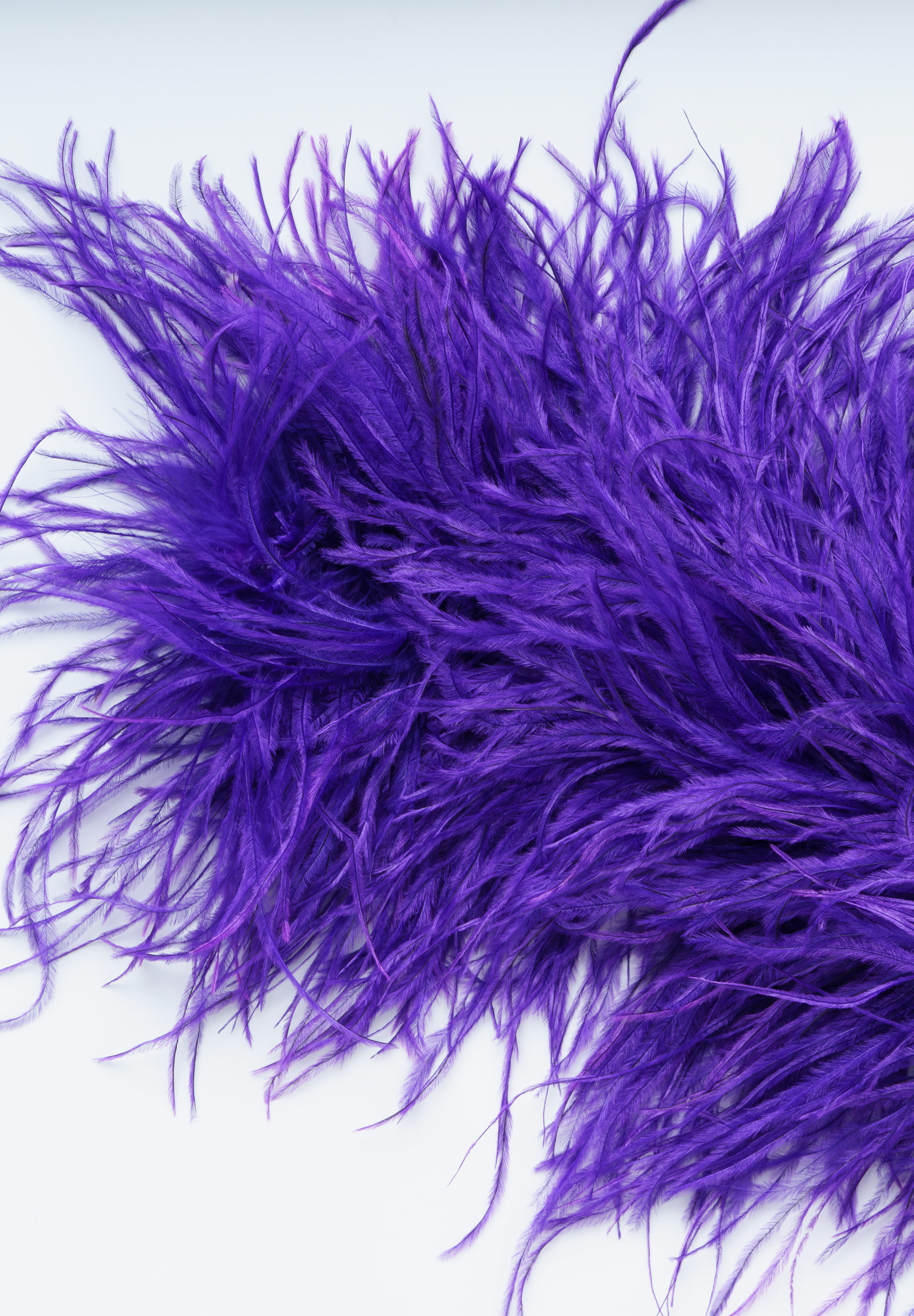 Purple_Rain