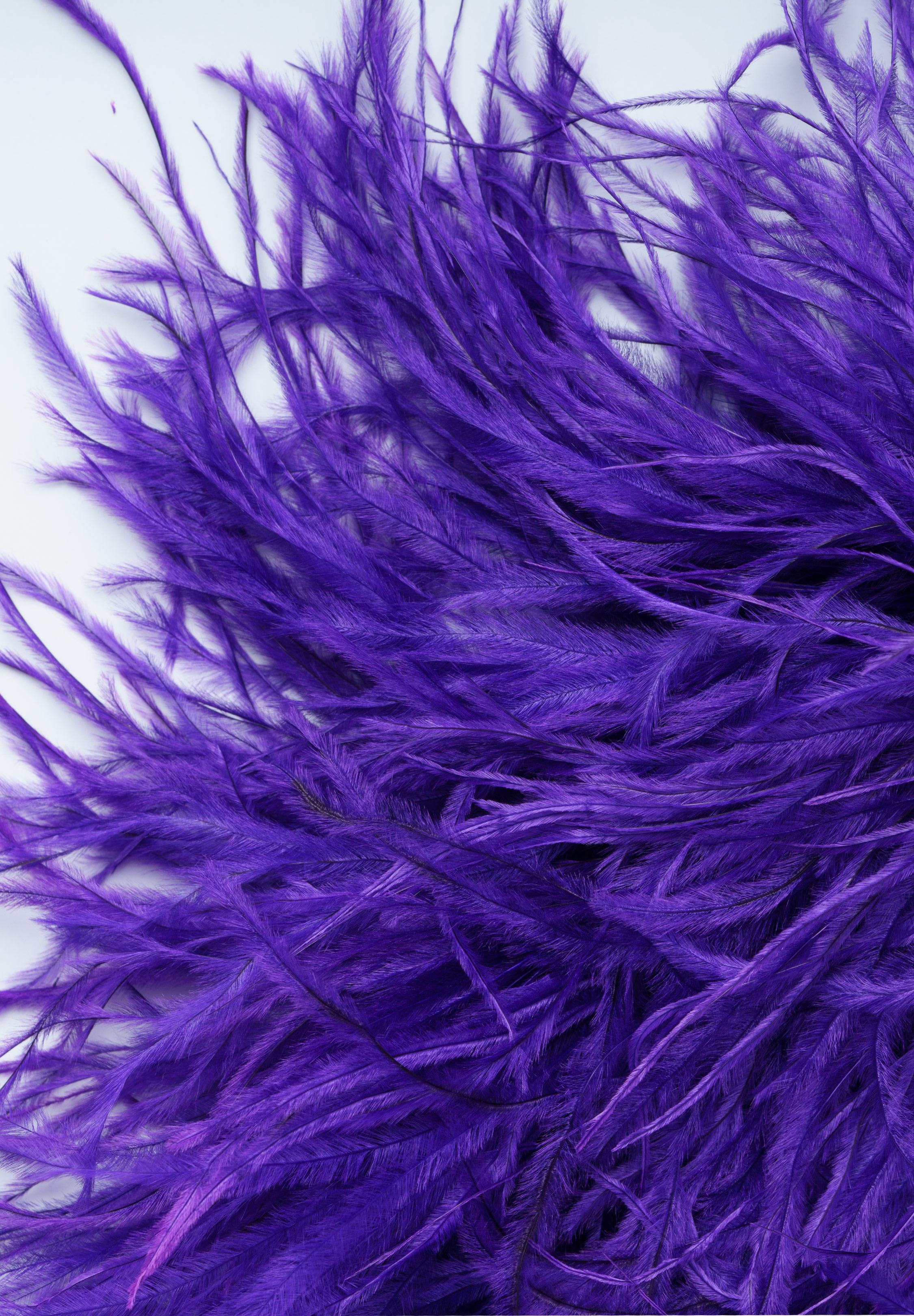 Purple_Rain