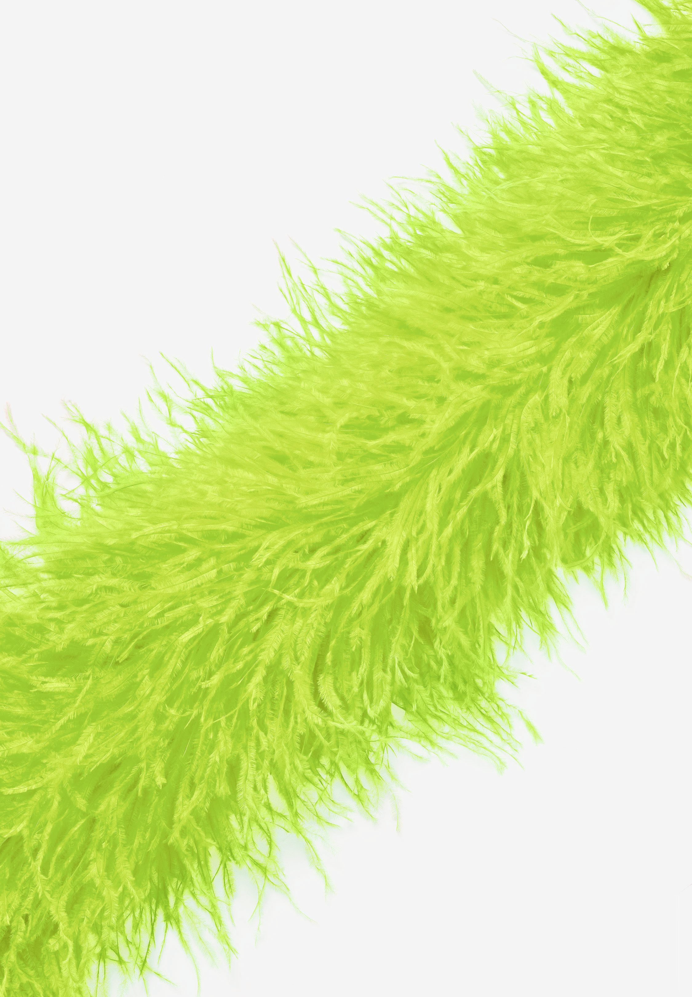 Tropic_Lime