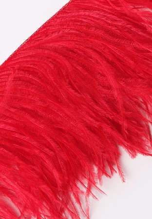 Chrisanne Clover Ostrich Feather Fringe