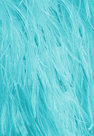 Chrisanne Clover Pure Ostrich Lux 6 Ply Boa