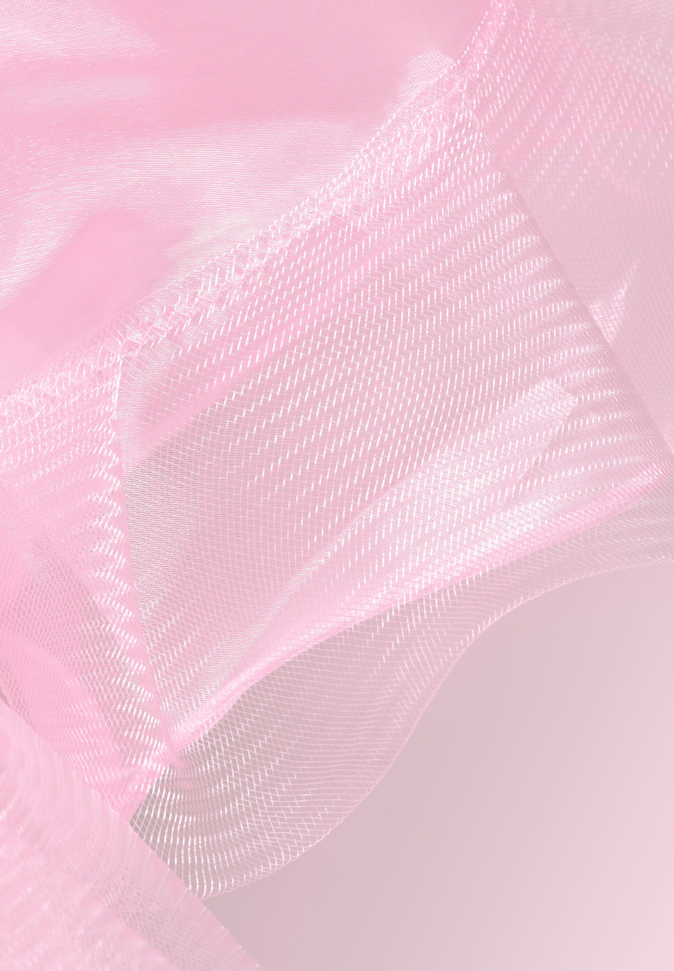 Carnation