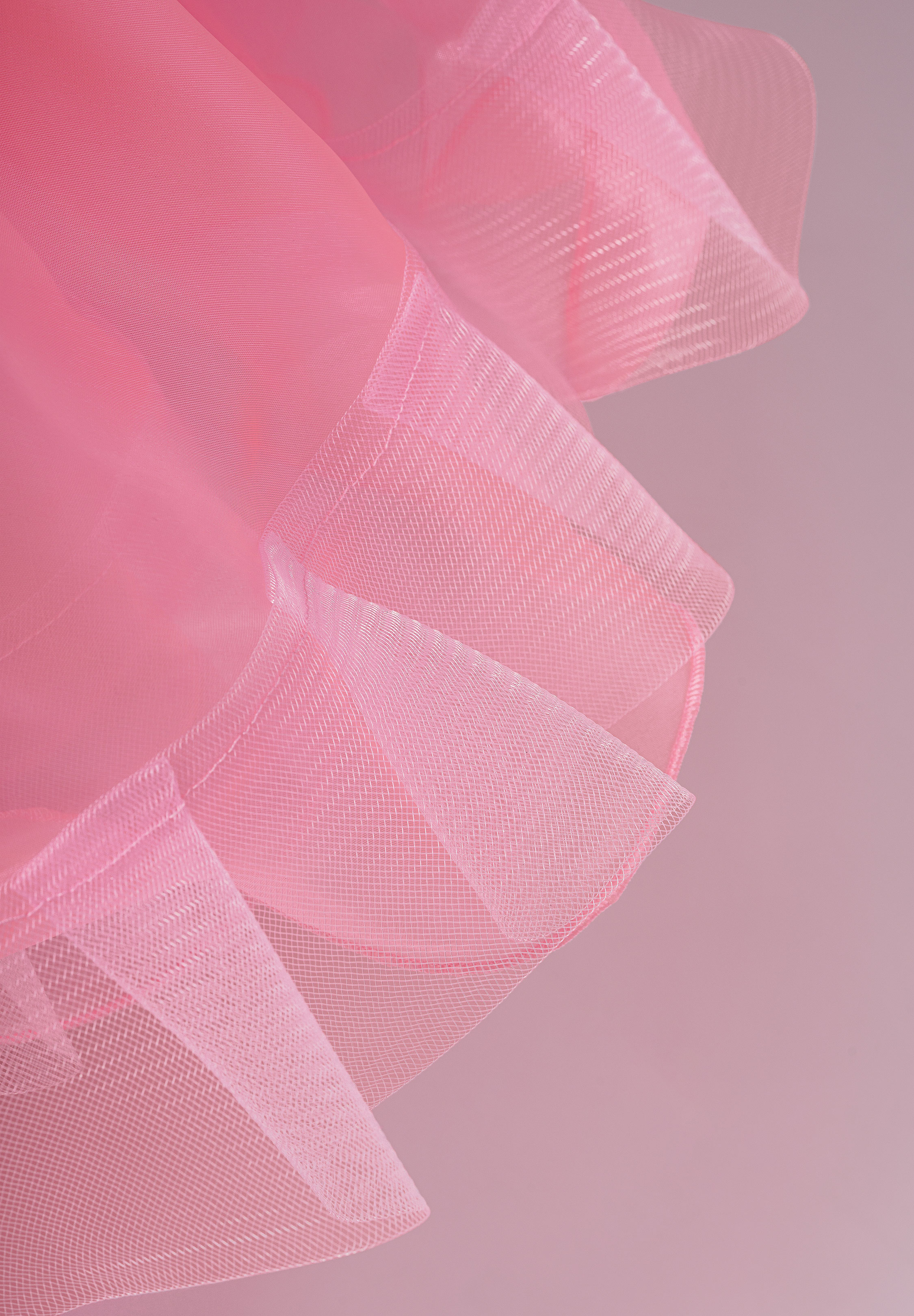 Rose_Pink