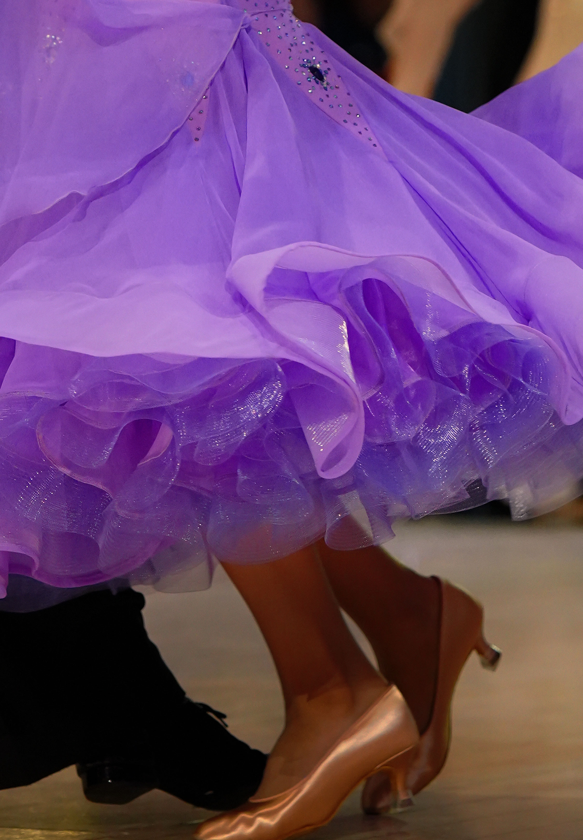 Viola