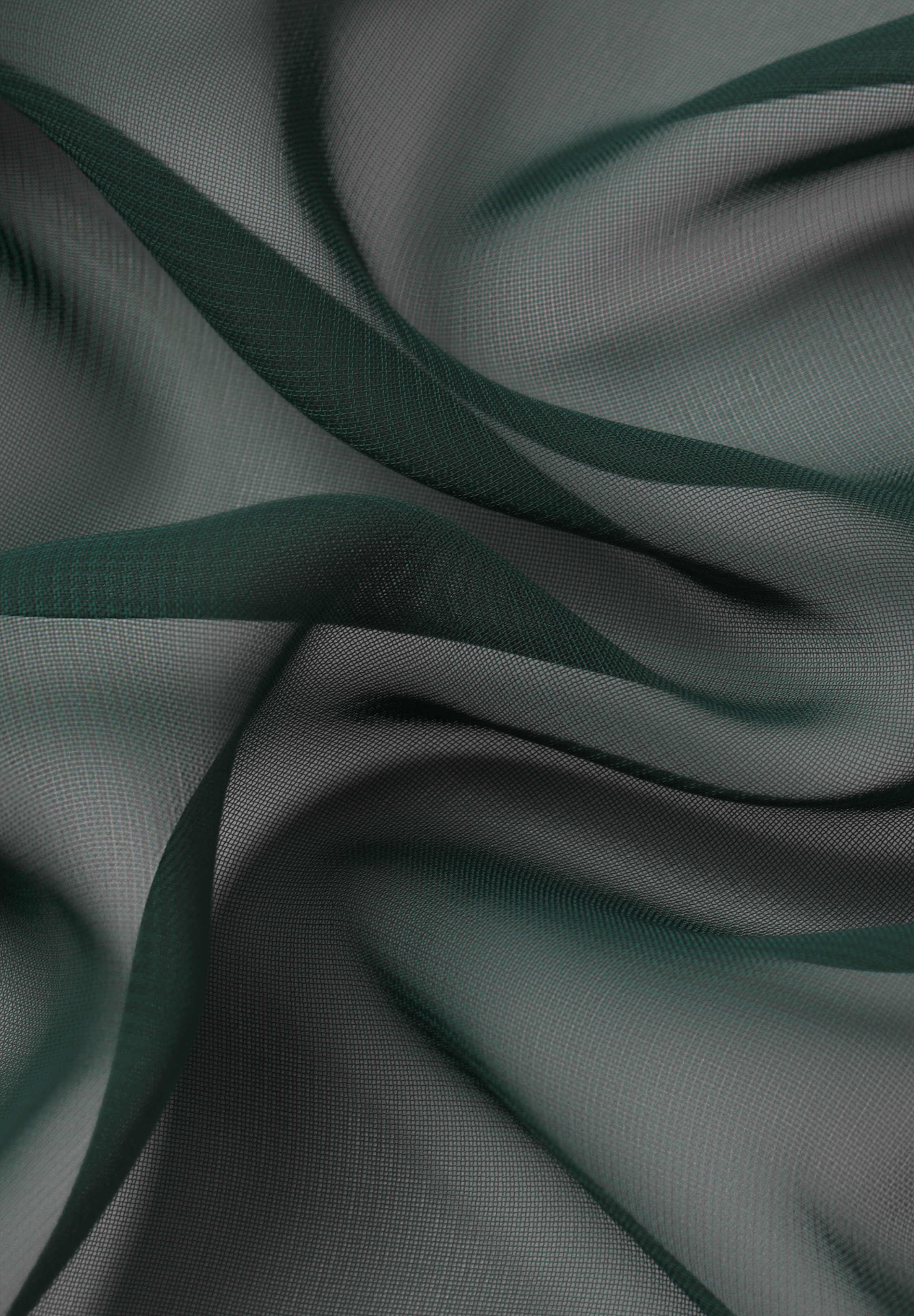 Forest_Green