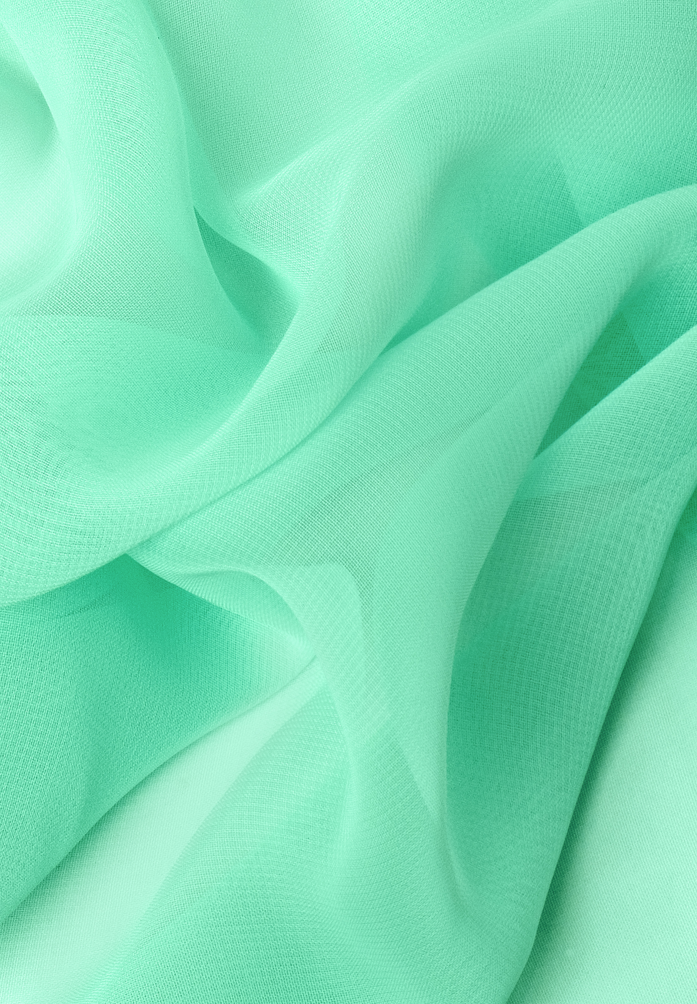 Spearmint