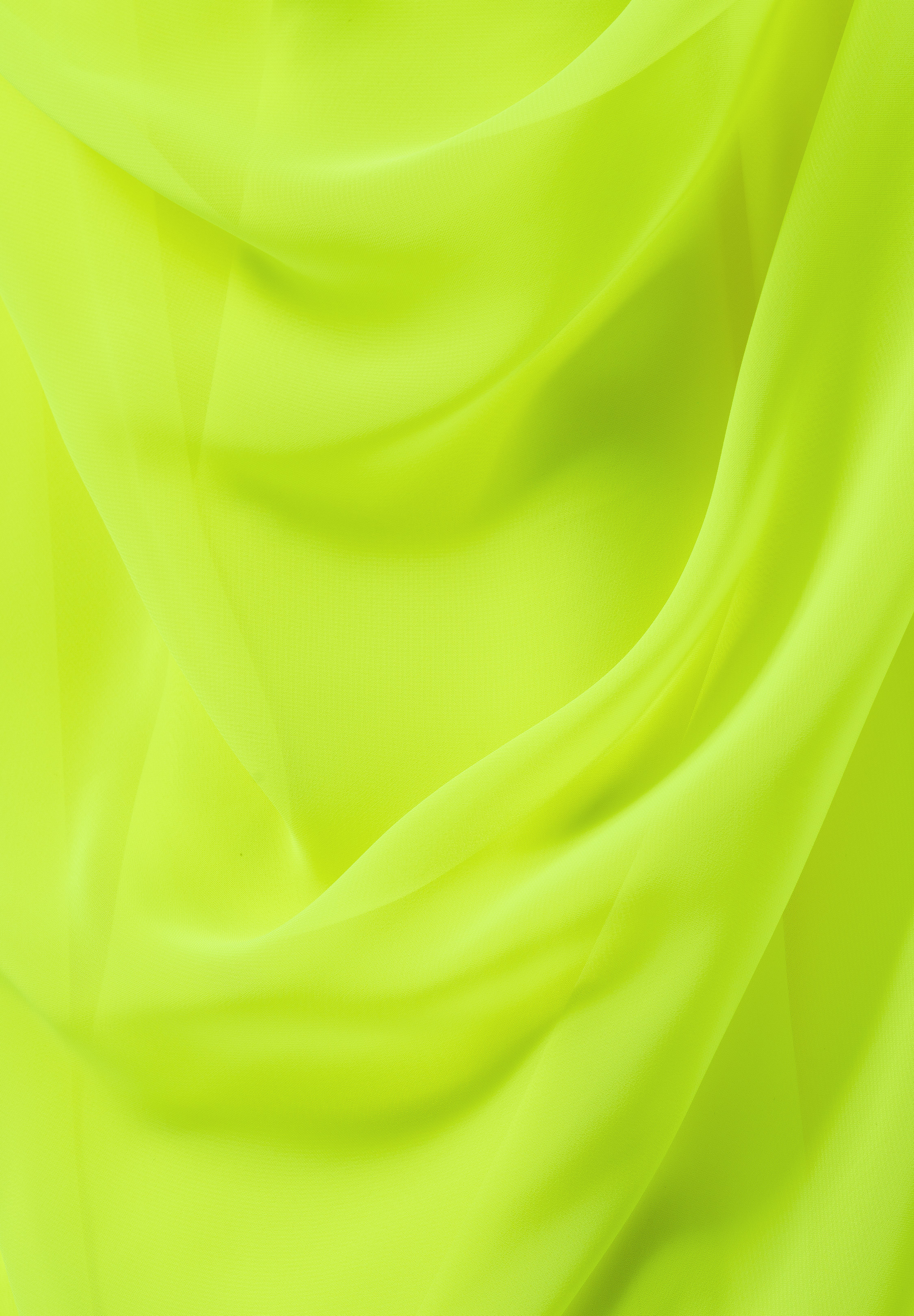 Tropic_Lime