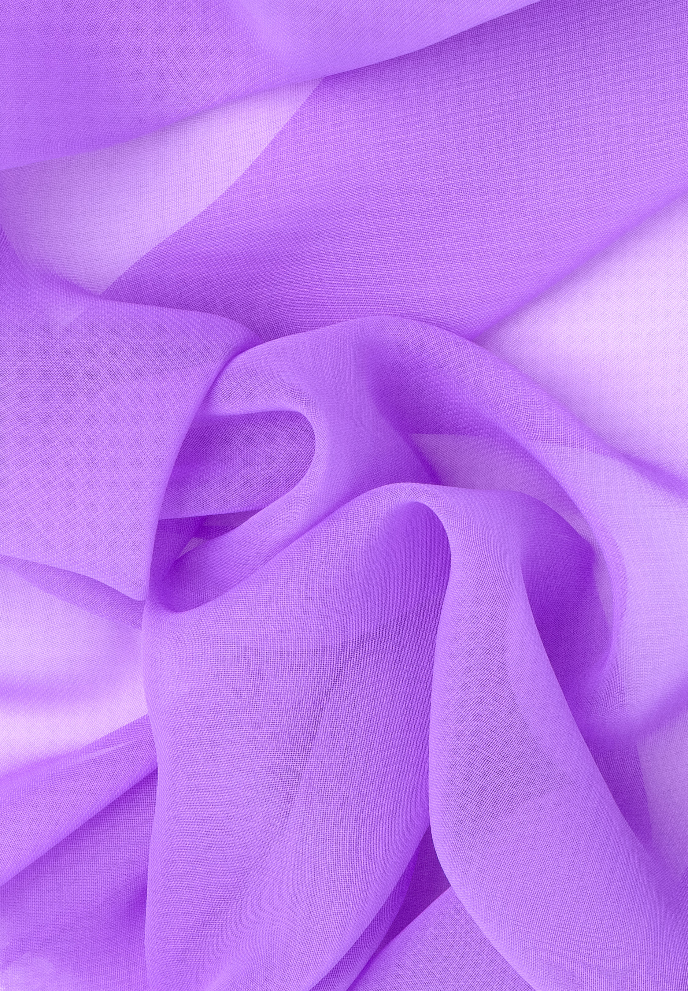 Lilac_Dream