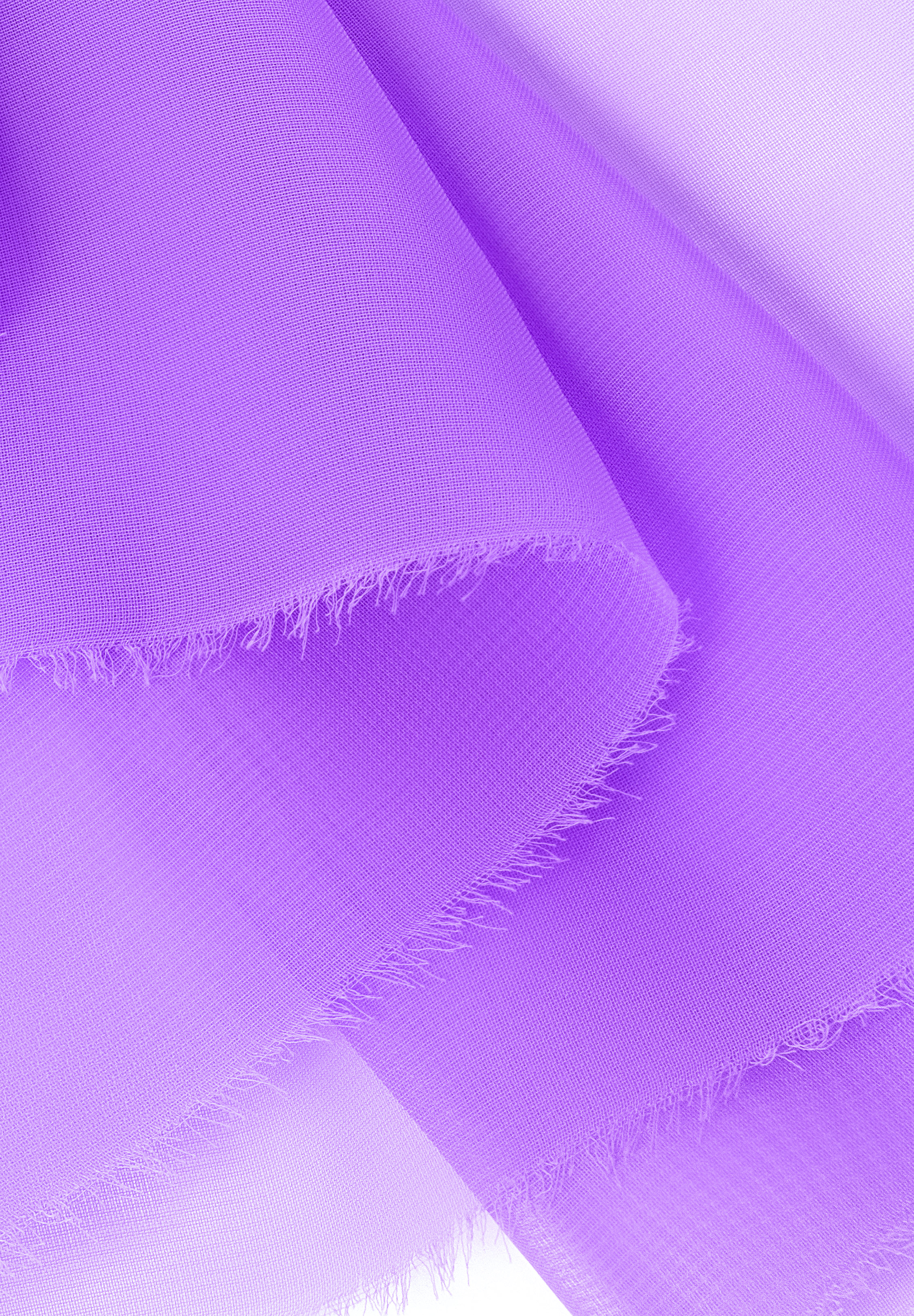 Lilac_Dream