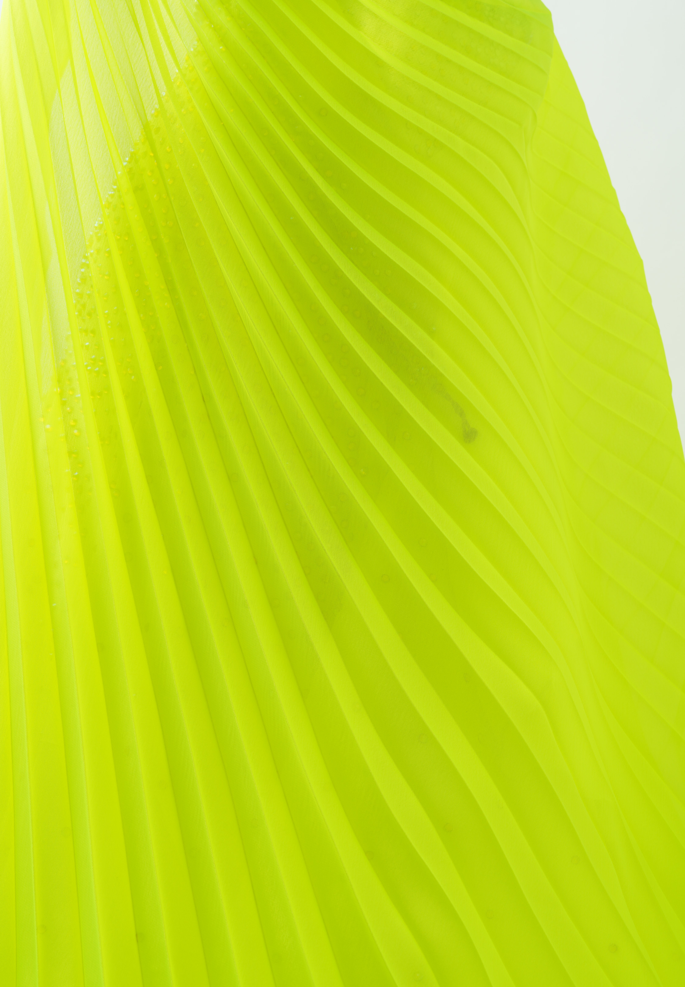 Tropic_Lime