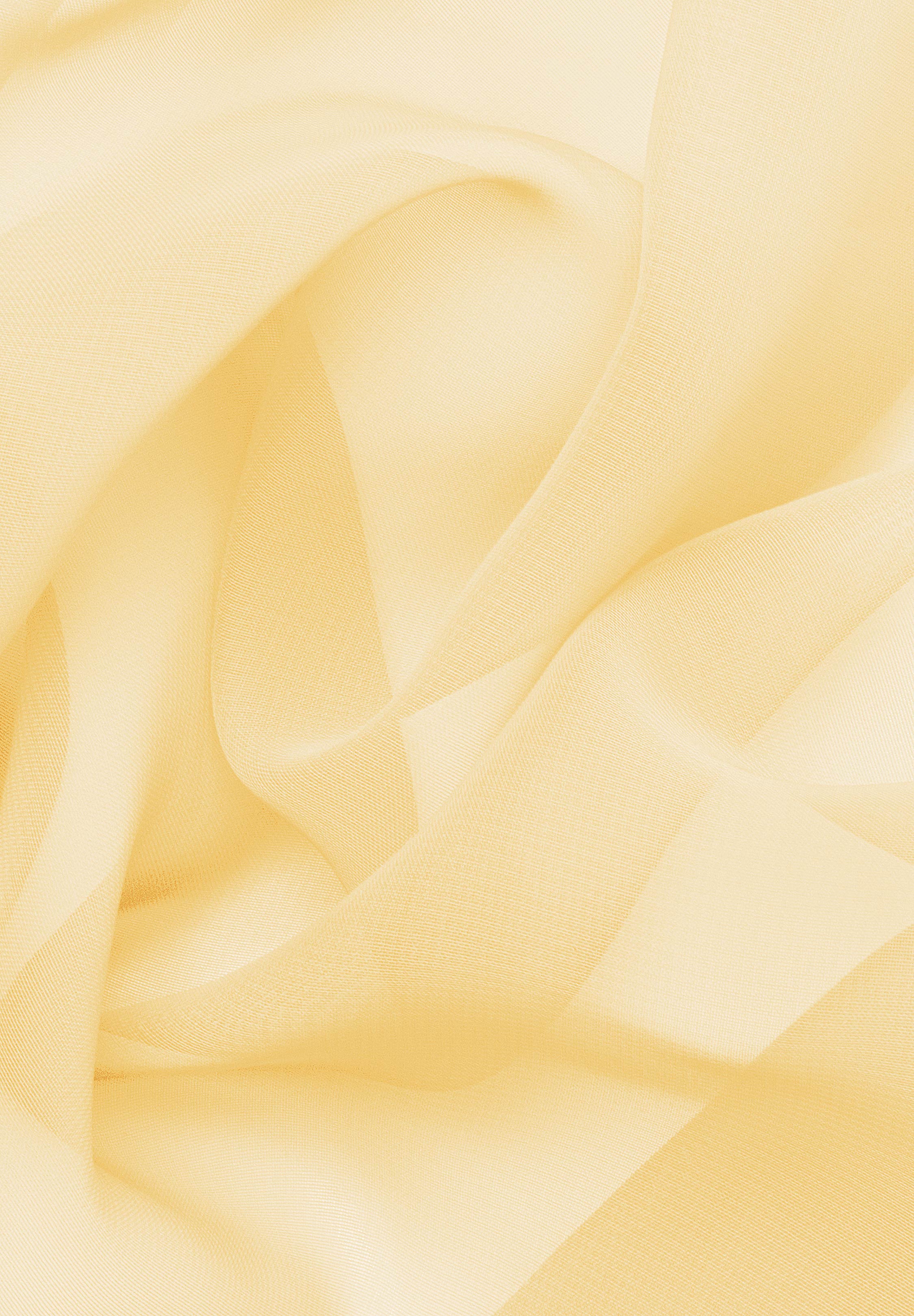 Camellia