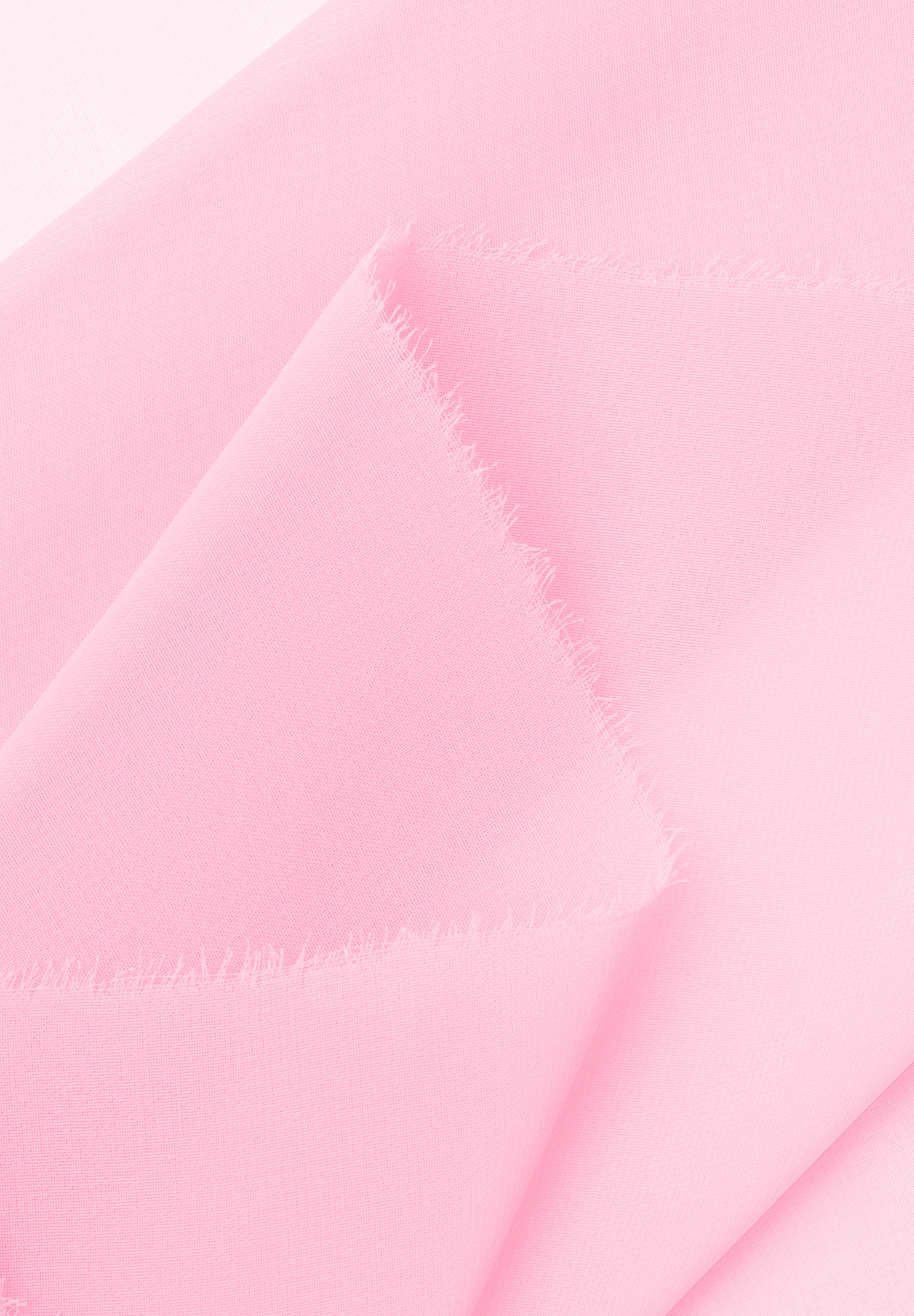 Carnation