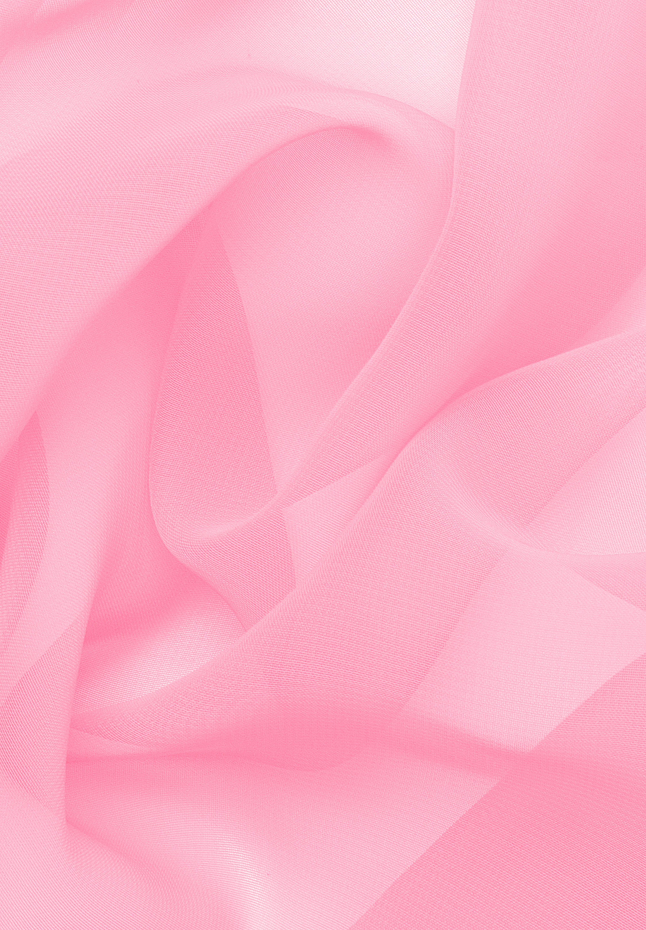 Rose_Pink