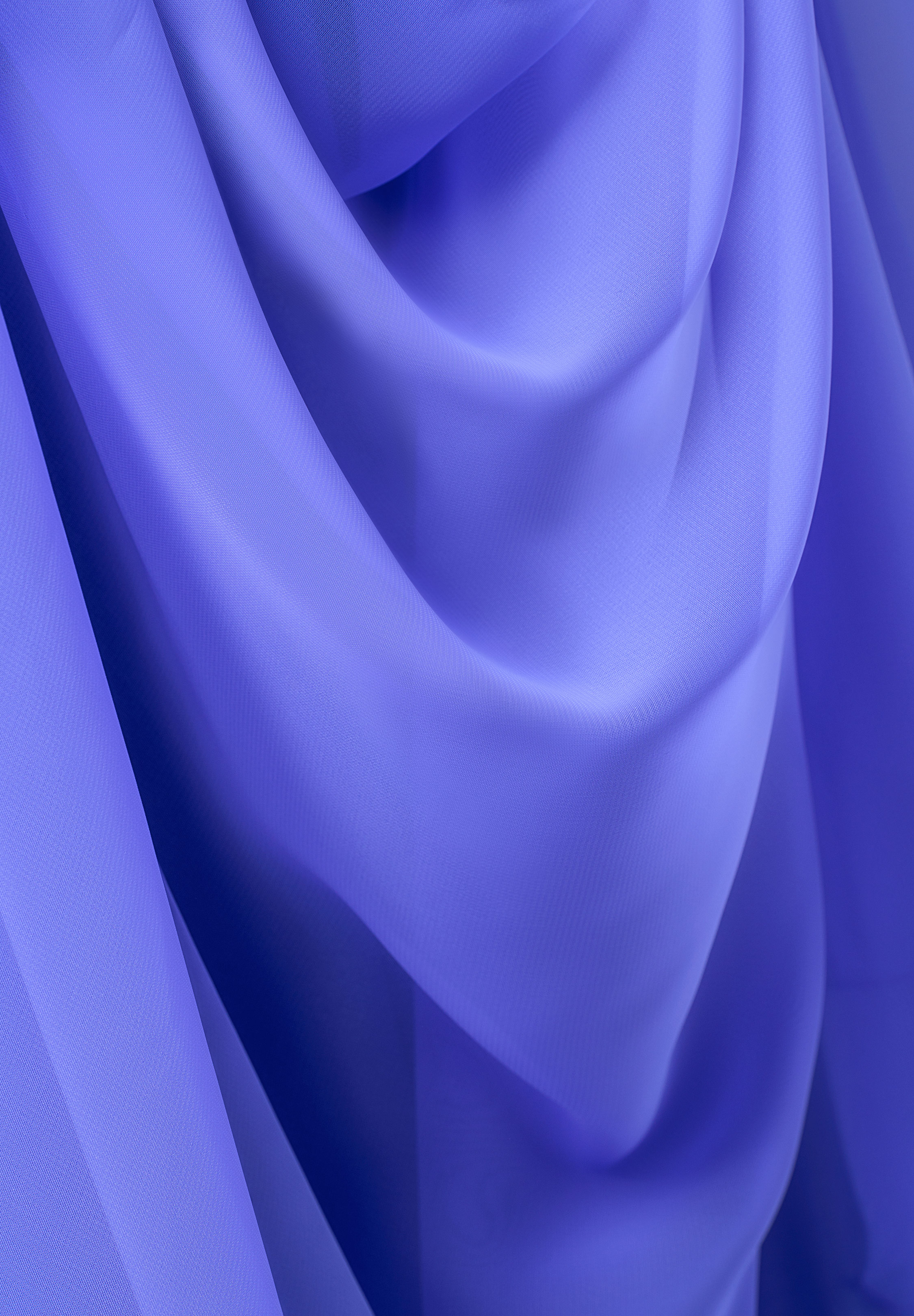 Viola