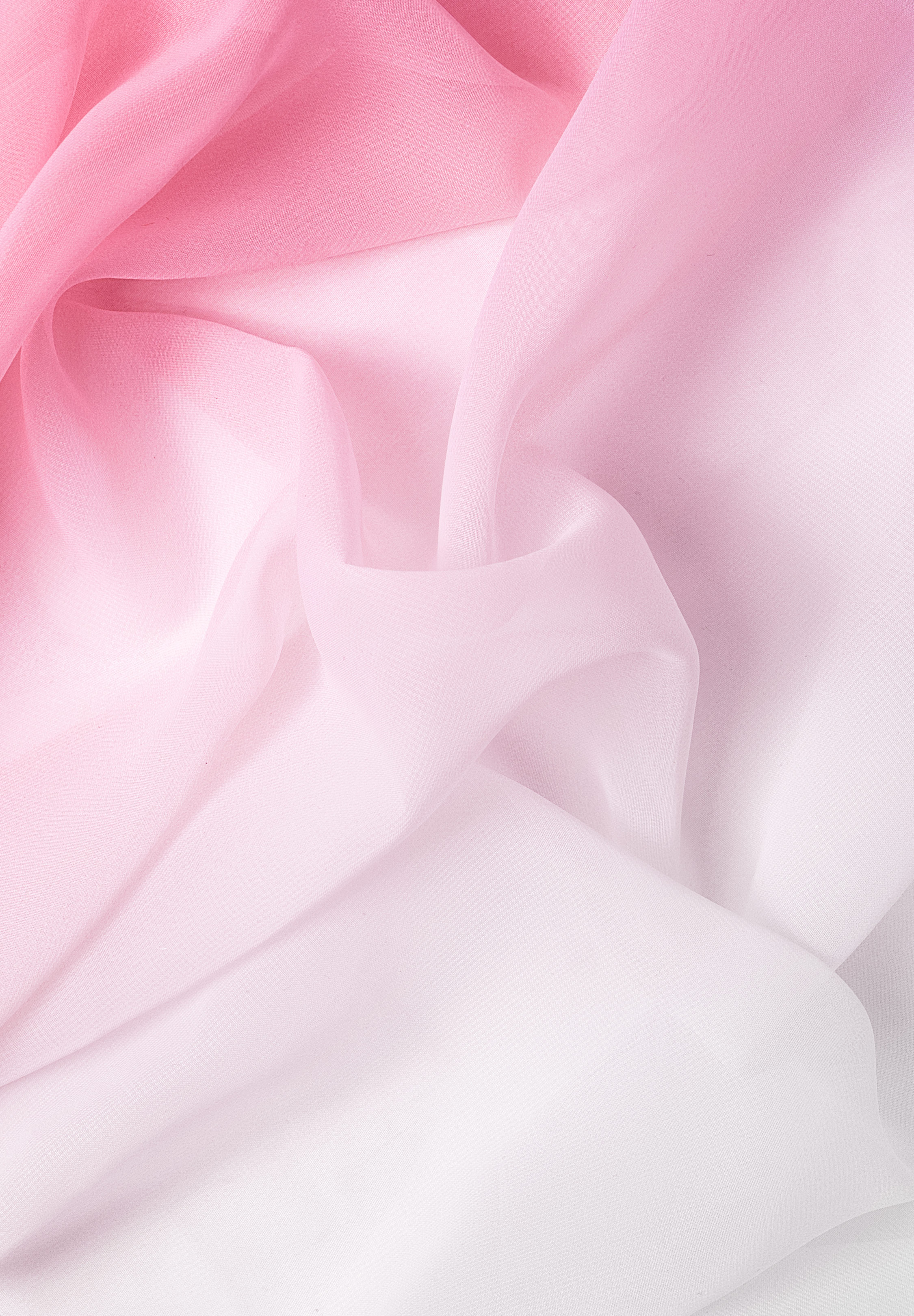 Rose_Pink_White