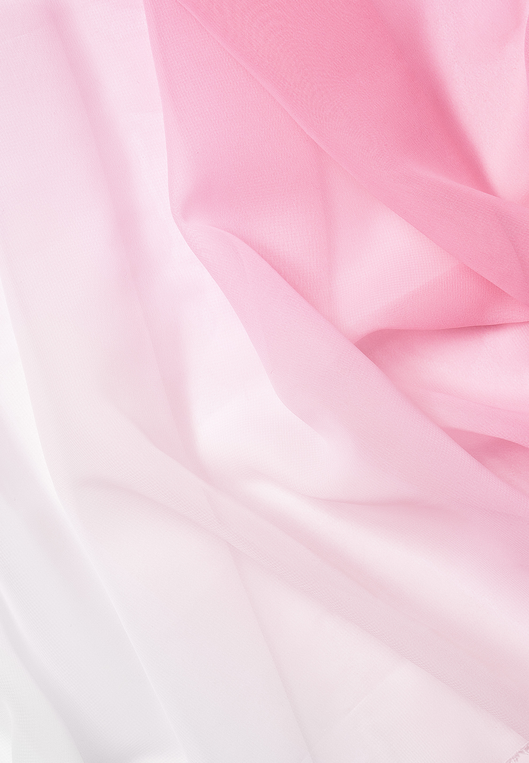 Rose_Pink_White