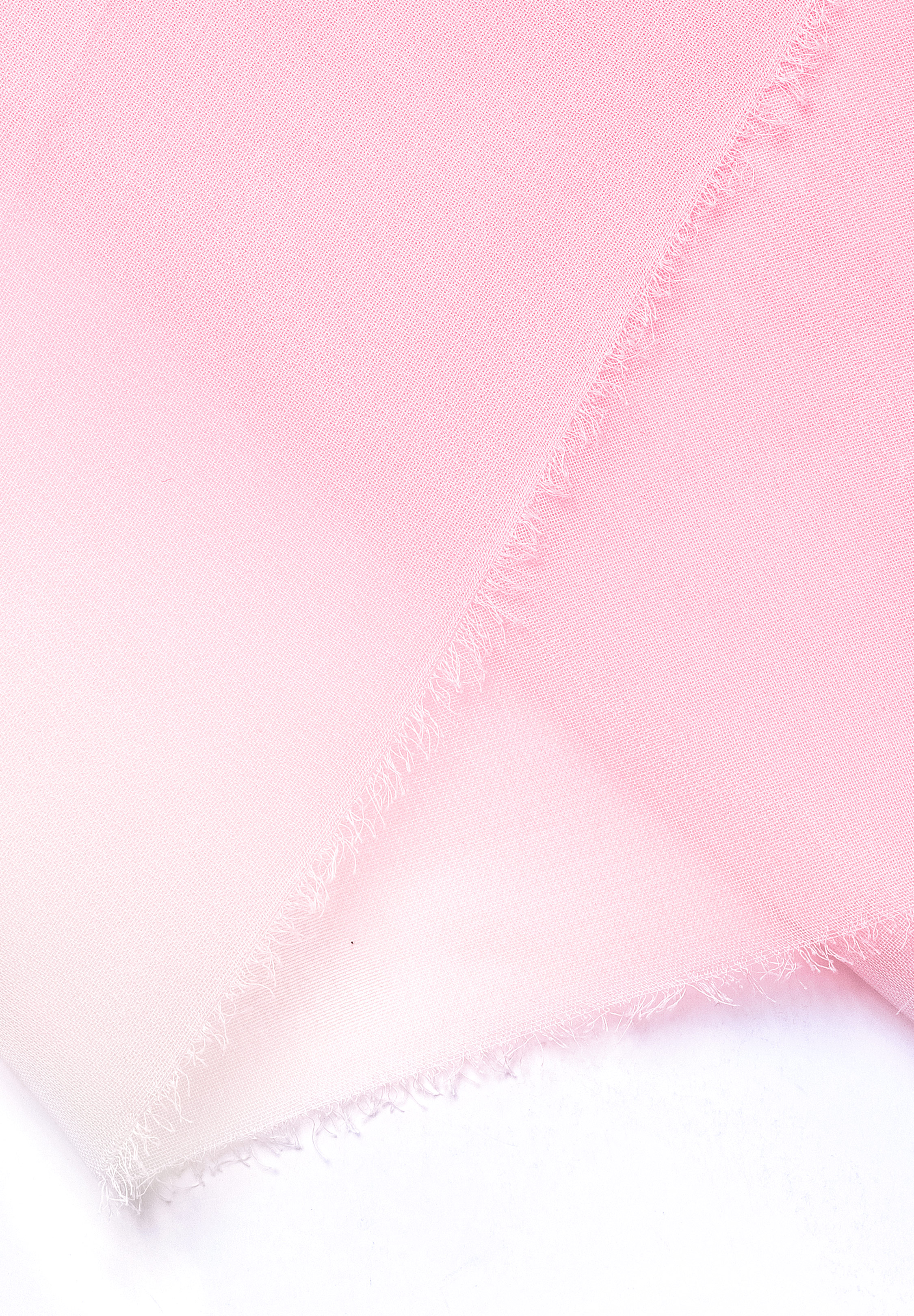 Rose_Pink_White