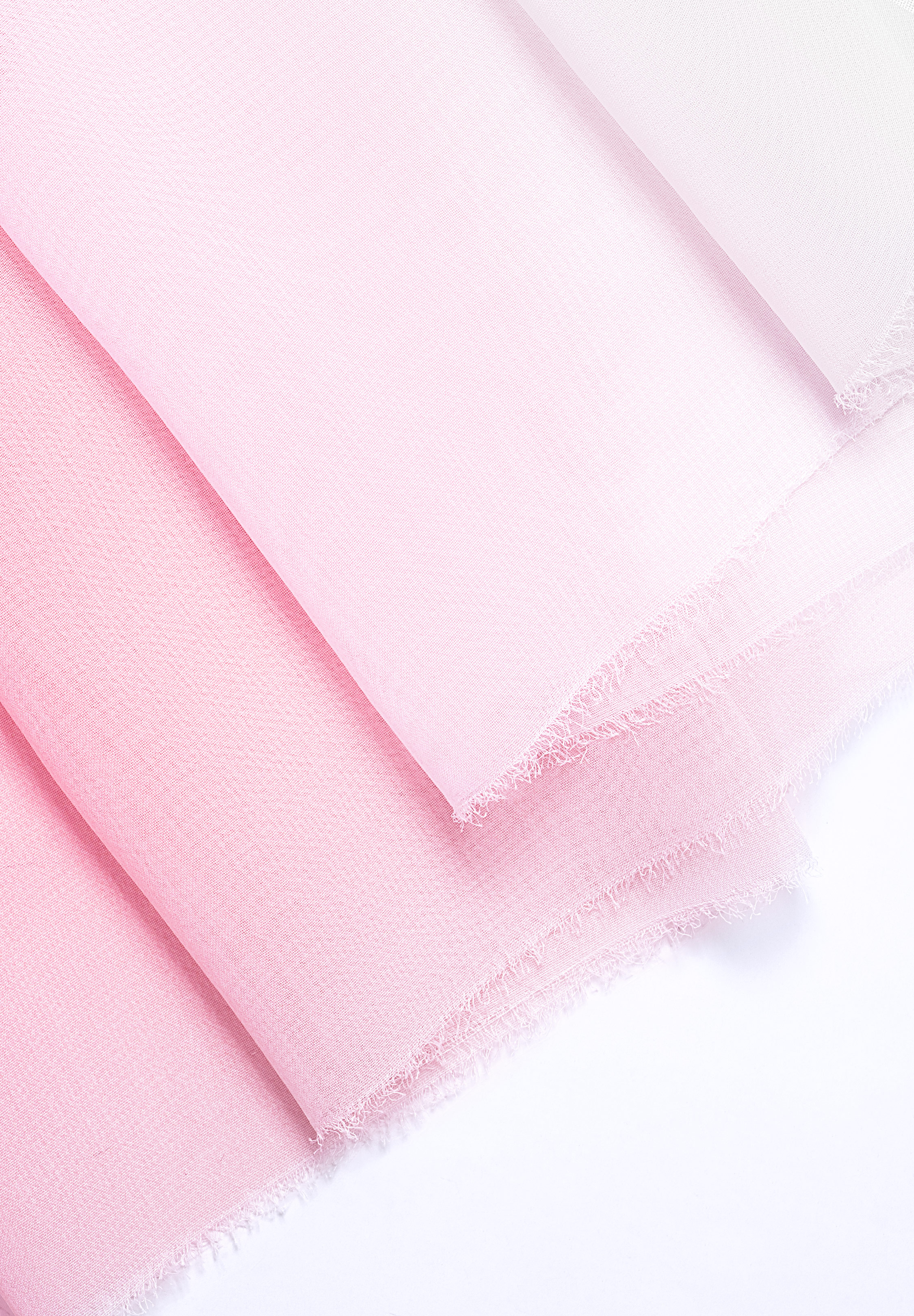 Rose_Pink_White