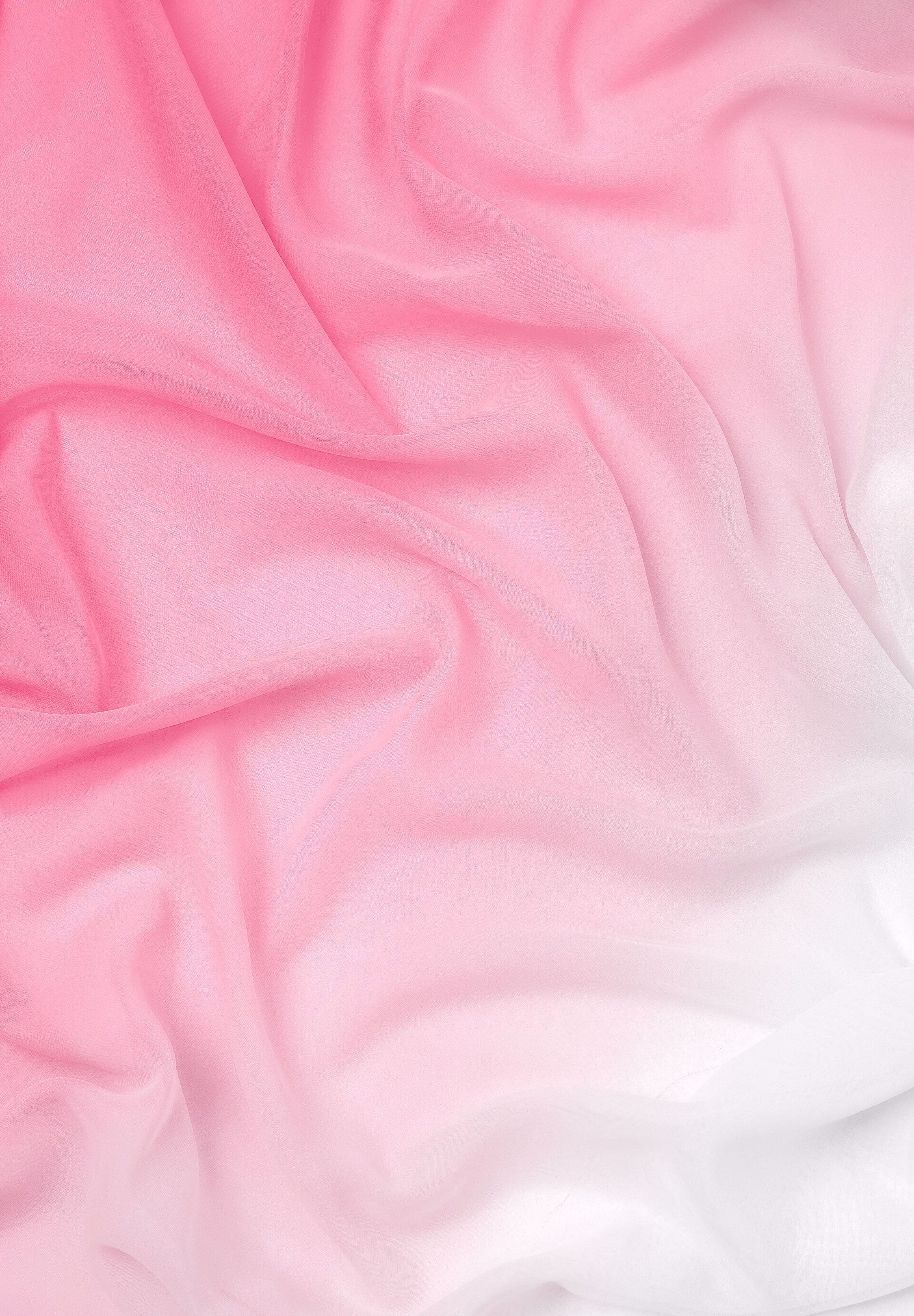 Rose_Pink_White