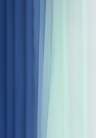 DSI Shaded Georgette 1149