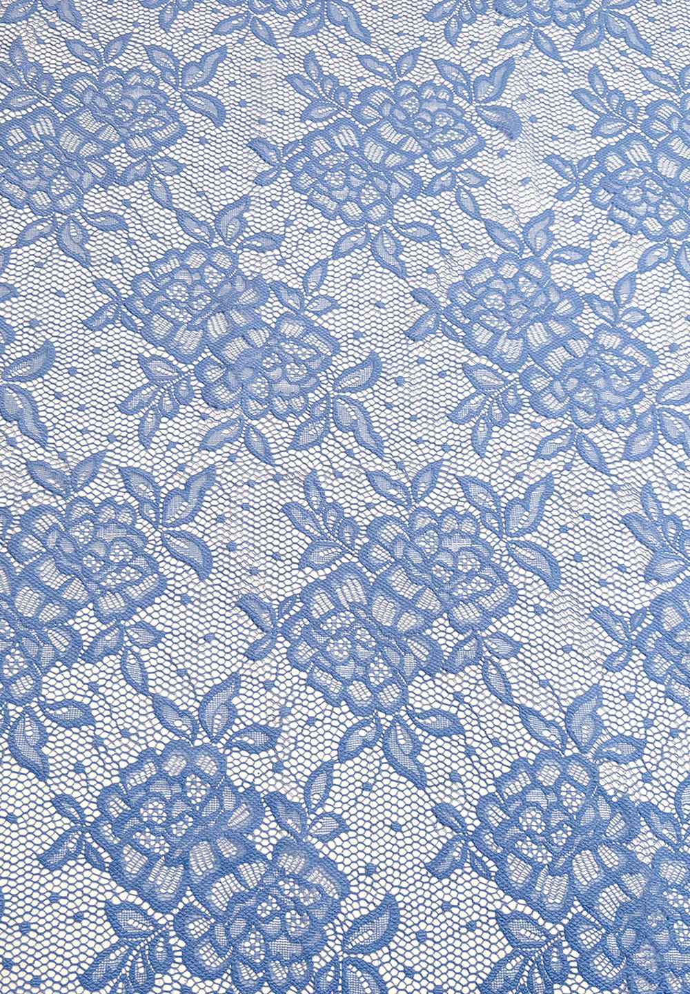 Bluebell