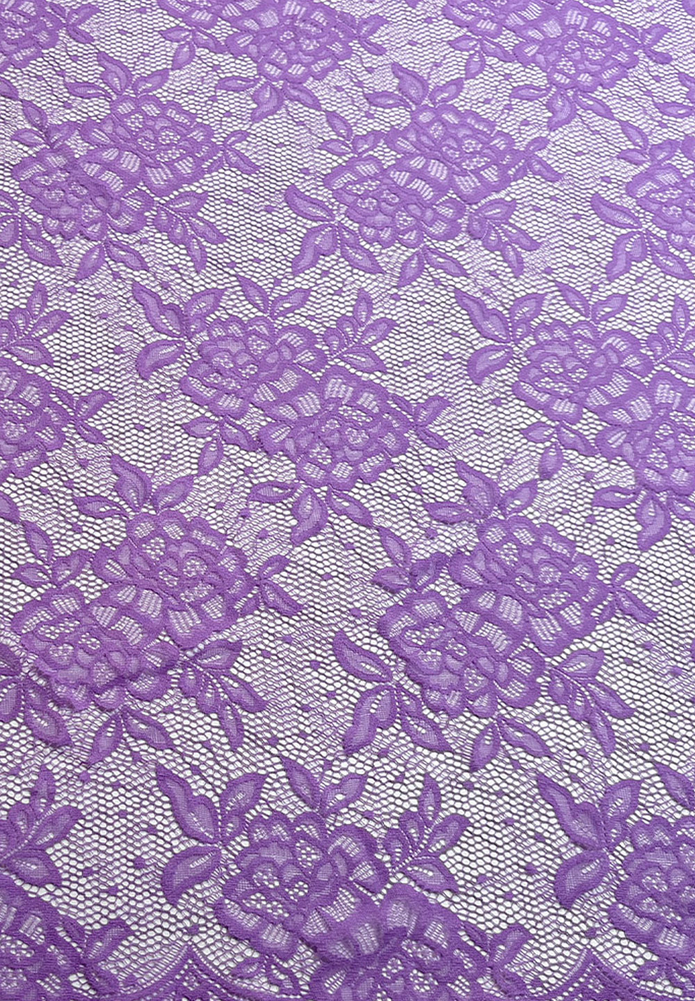 Lilac_Dream