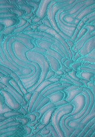 Chrisanne Clover Arcadia Stretch Lace