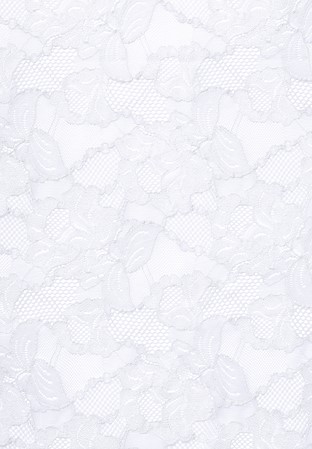 Chrisanne Clover Floral Cascade Stretch Lace