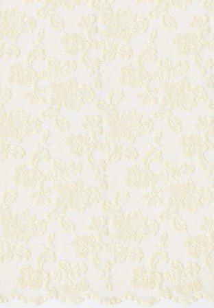 DSI Jasmine Stretch Lace 1522