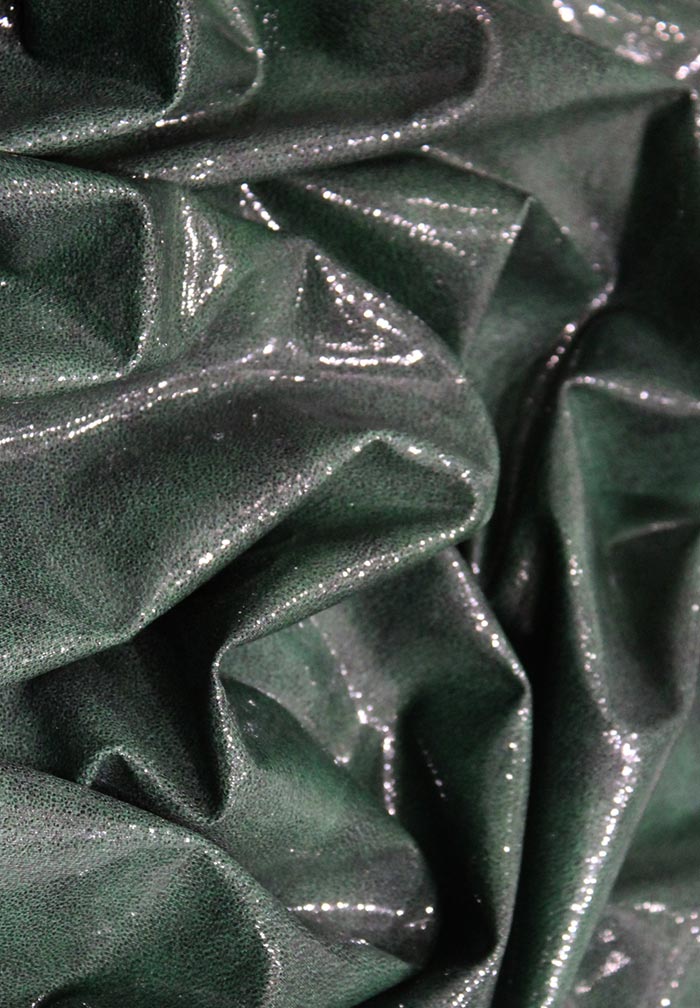 Chrisanne Clover Clear Gloss Leather Print Lycra