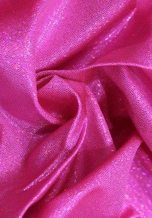 Chrisanne Clover Hologram Lycra