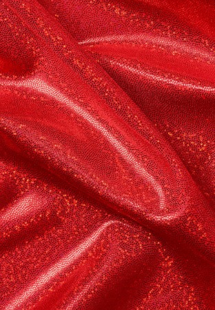 Chrisanne Clover Hologram Lycra