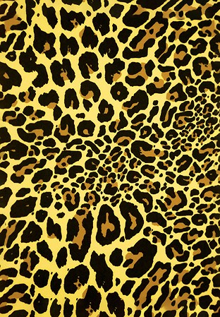 Chrisanne Clover Jaguar Print On Lycra