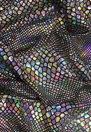 Chrisanne Clover Python Foil On Lycra