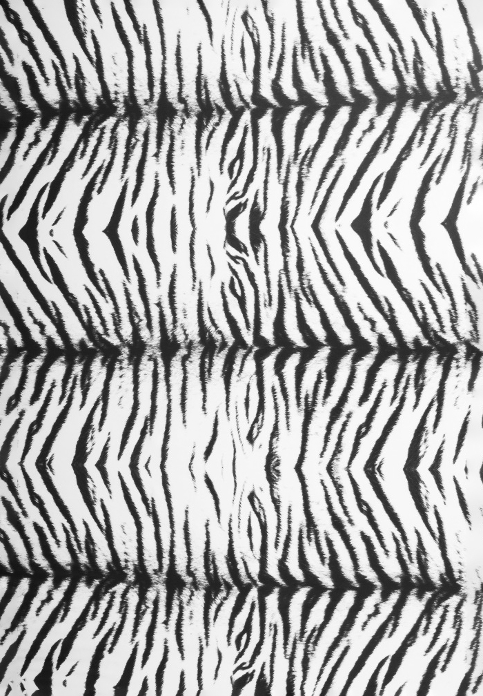 DSI Tiger Lycra 1222