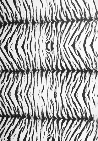 DSI Tiger Lycra 1222