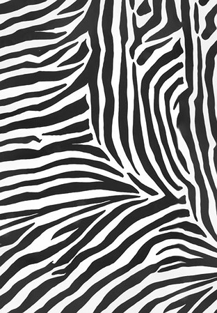 DSI Zebra Print on Lycra 1224