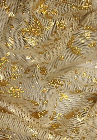 Chrisanne Clover Chroma Metallic Print on Stretch Net