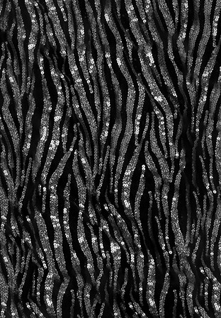 DSI Orion Sequined Mesh 1430