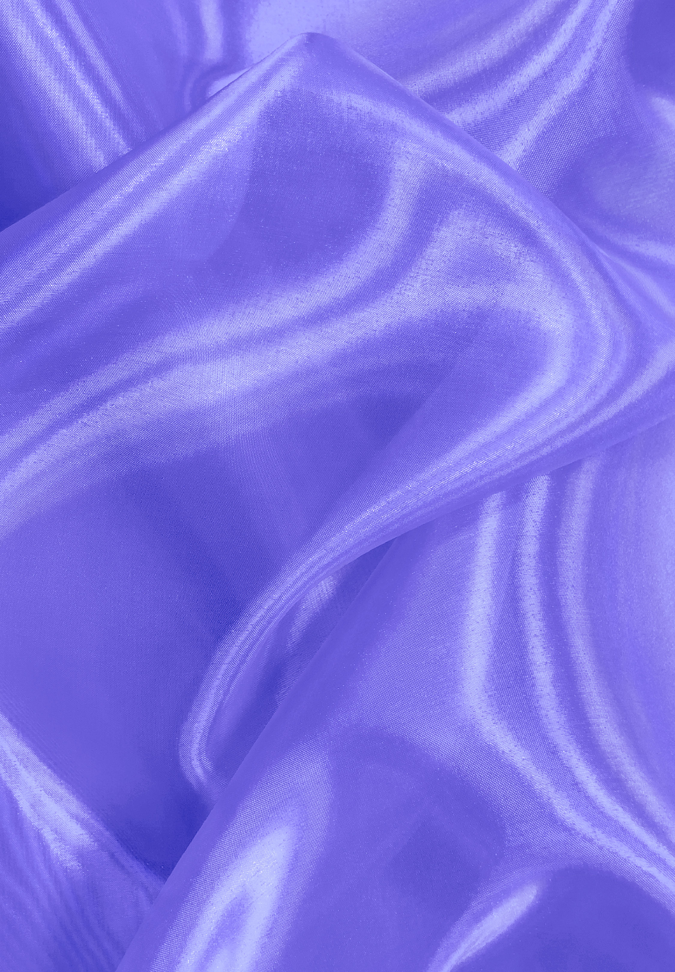 Viola