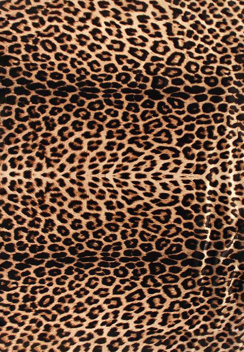 Chrisanne Clover Animal Print On Stretch Velvet