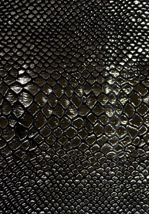 Chrisanne Clover Python Foil On Velvet | Danceshopper