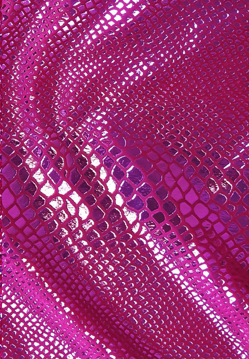 Chrisanne Clover Python Foil On Velvet | Danceshopper