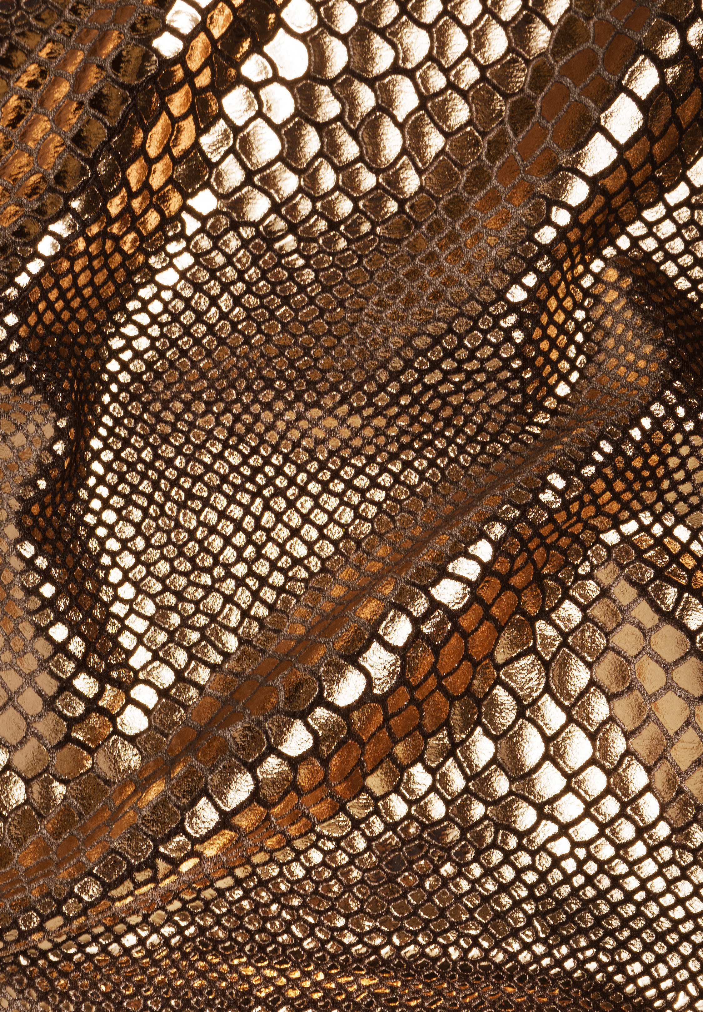 Chrisanne Clover Python Foil On Velvet