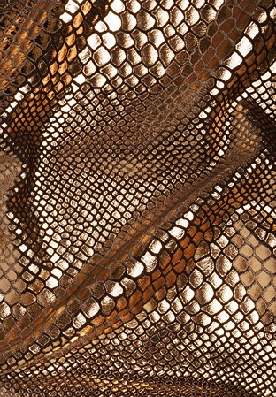 Chrisanne Clover Python Foil On Velvet