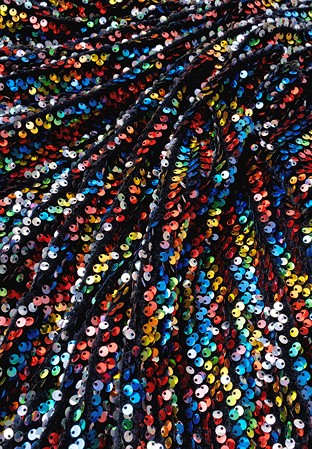Chrisanne Clover Sequinned Velvet