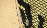 Gold Leather / Gold Satin / Black Lace