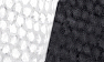 Black/Silver Fish