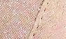 Rosegold/Microglitter Leather